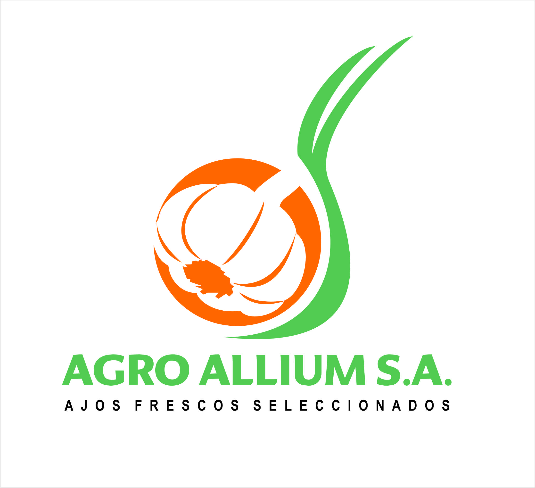 Agro Allium